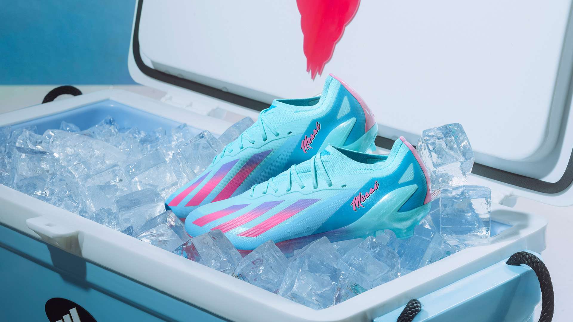 不仅关系到 不仅关系到