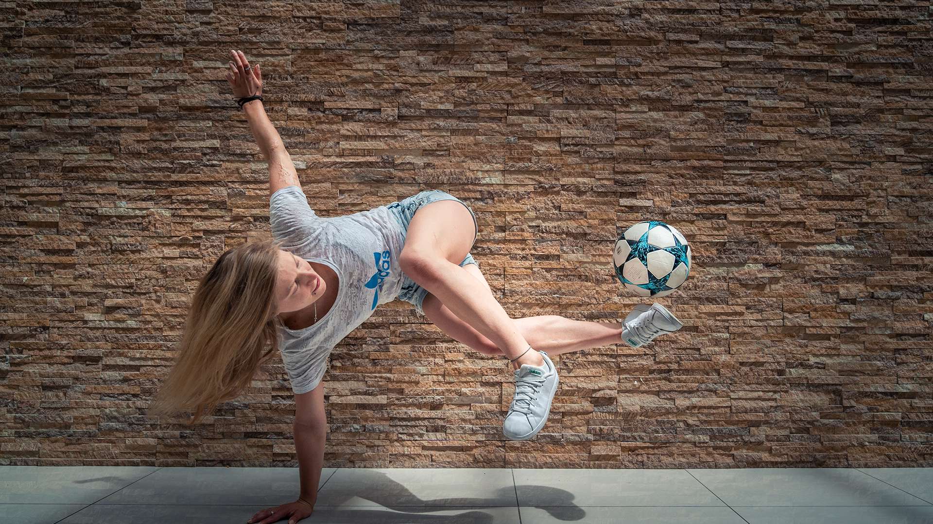 临的挑战 临的挑战